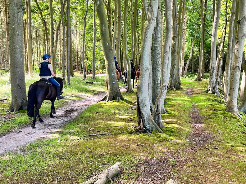 24-07-01 11-23-32 0056